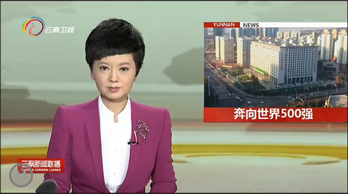 《云南新闻联播》《云南日报》报道集团成立一周年